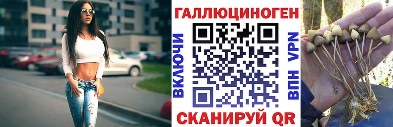 купить закладку  Дедовск  hydra ТОР  Псилоцибиновые грибы прущие грибы 